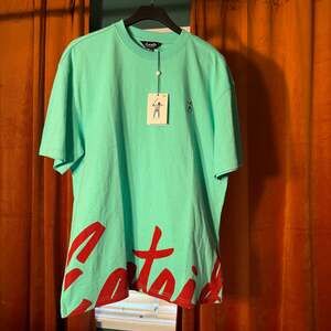 Eastside Golf Mens Swingman Logo Short Sleeve T Shirt Mint Green - Large